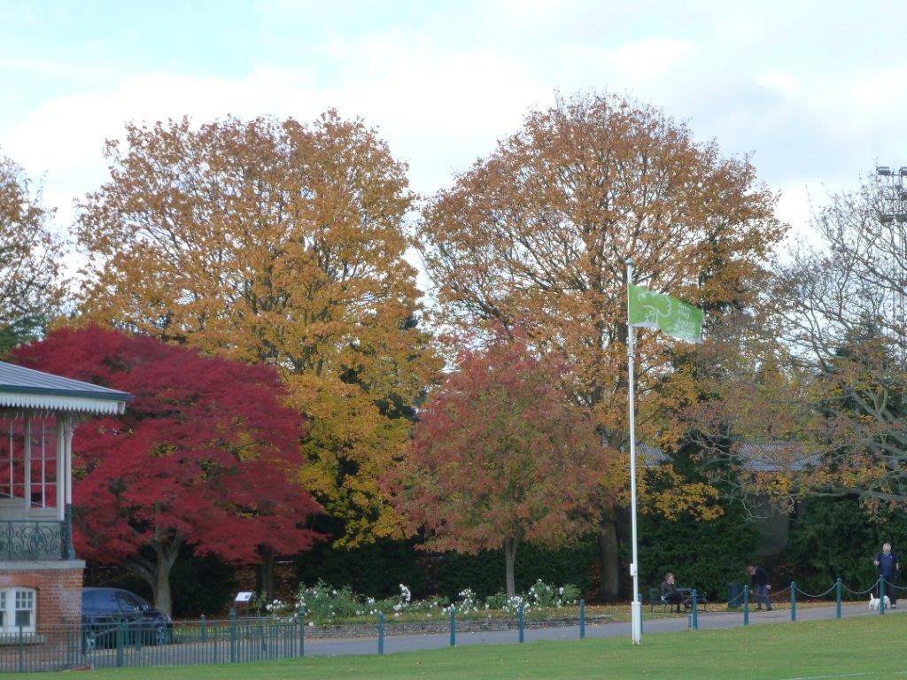 Canal Fields