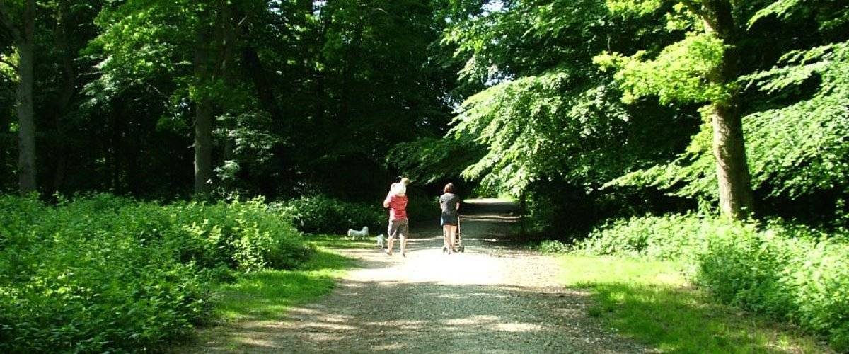 Chipperfield Common