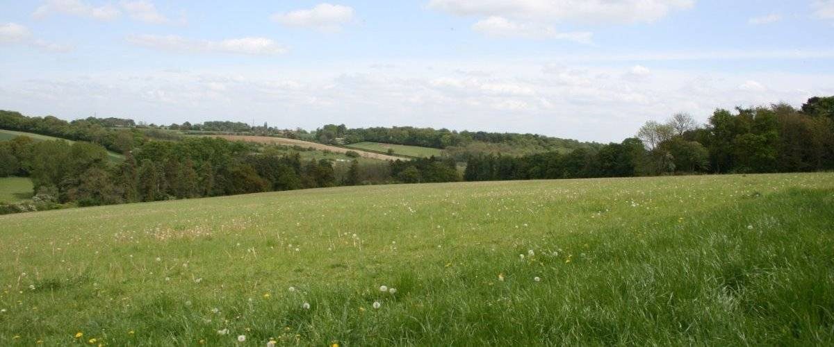 Chorleywood House Estate Local Nature Reserve