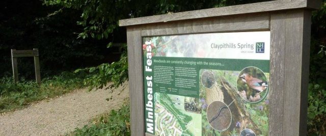 Claypithills Woods