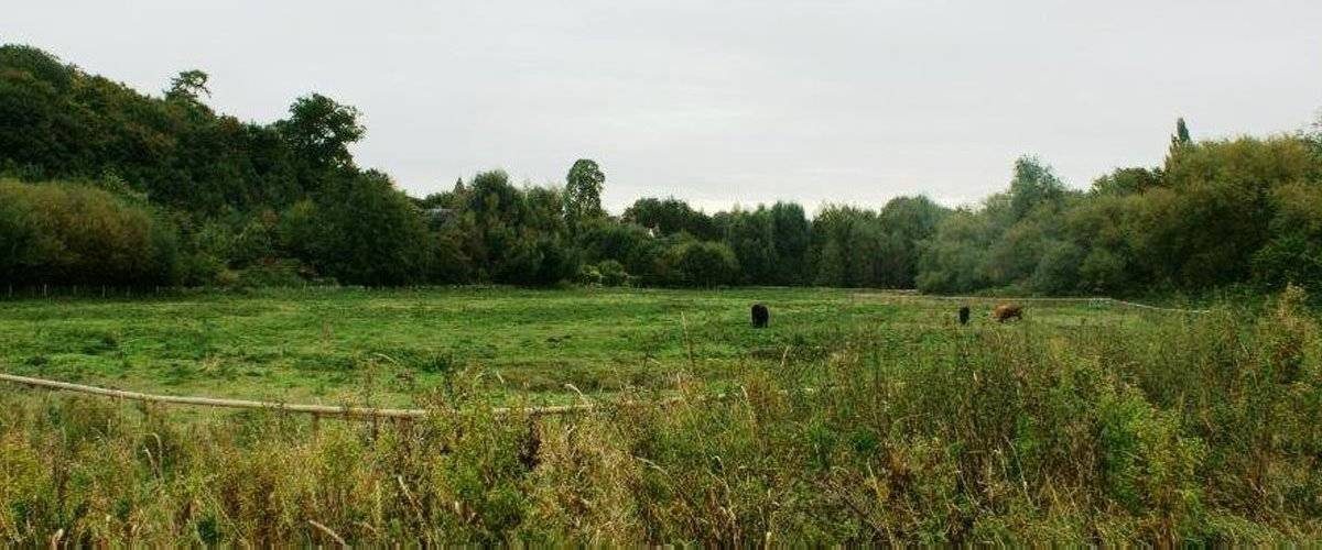 Hartham Common and Kingsmead