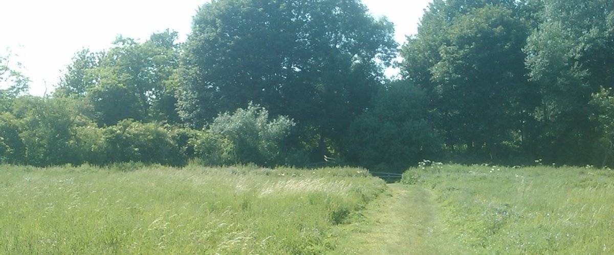 Ivel Springs Local Nature Reserve