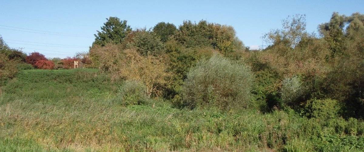 Ivel Springs Local Nature Reserve