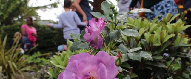 Mary Forsdyke Garden and Warren Lake