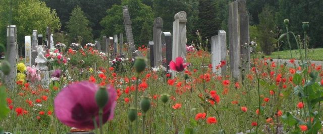 North Watford Cemetery