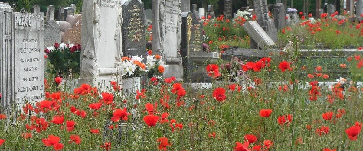 North Watford Cemetery