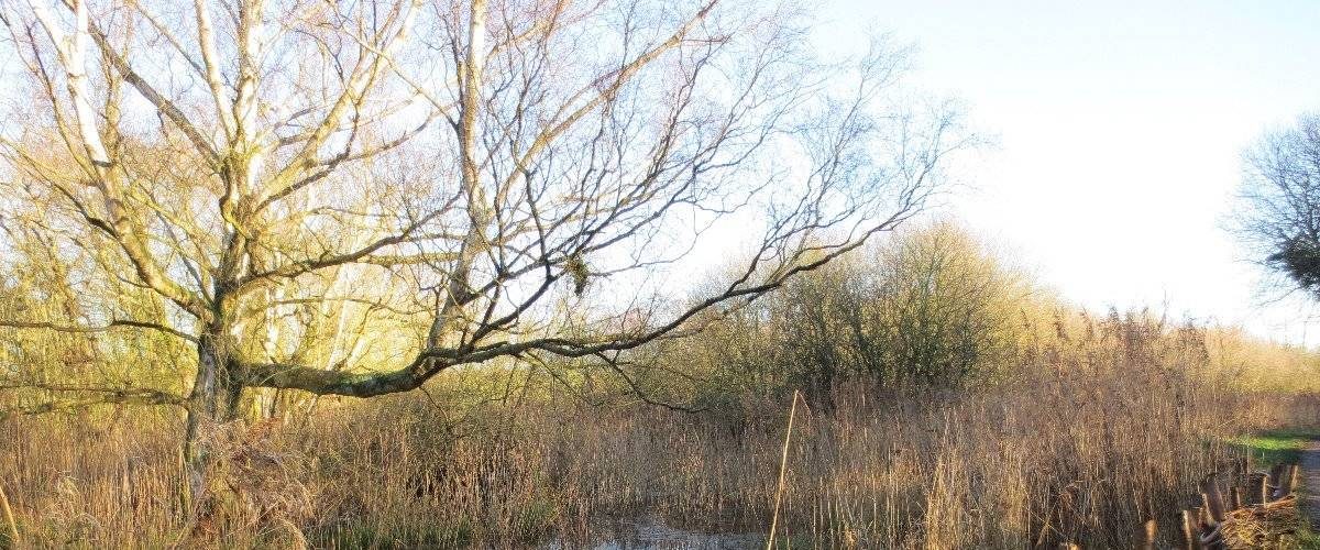 Oughtonhead Common Local Nature Reserve