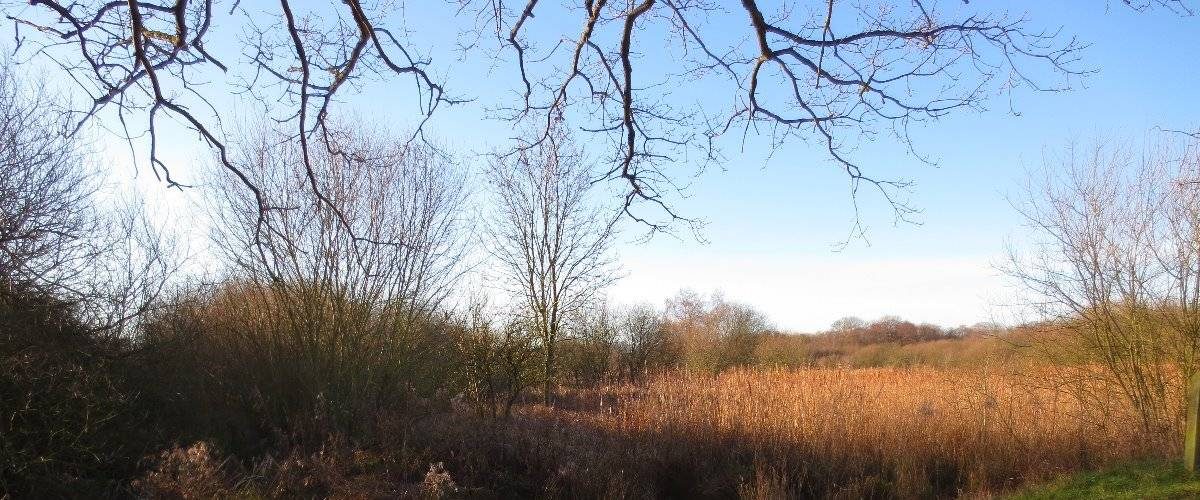 Oughtonhead Common Local Nature Reserve