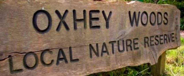 Oxhey Woods Local Nature Reserve