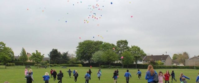 Peartree Park