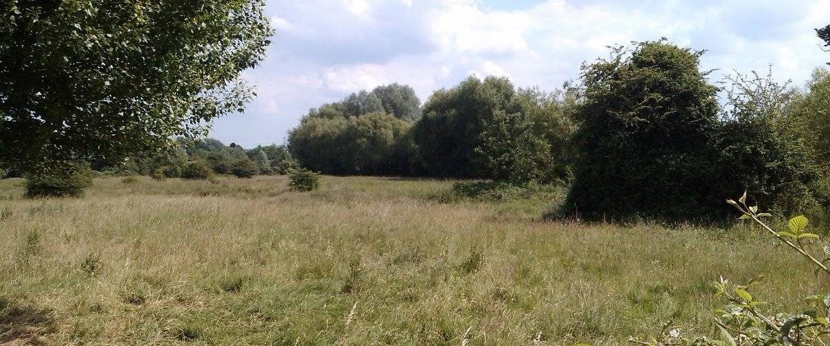 Purwell Meadows Local Nature Reserve