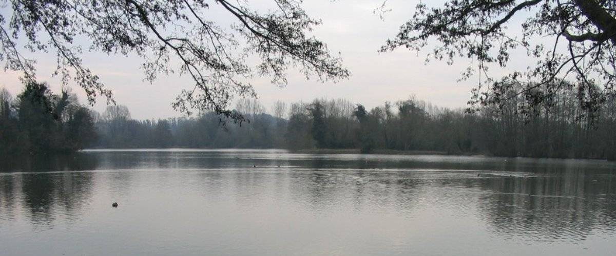 Rickmansworth Aquadrome Local Nature Reserve