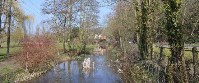 Singlers Marsh