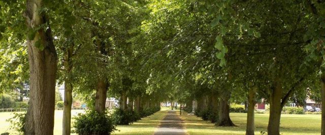 Station Road Recreation Ground