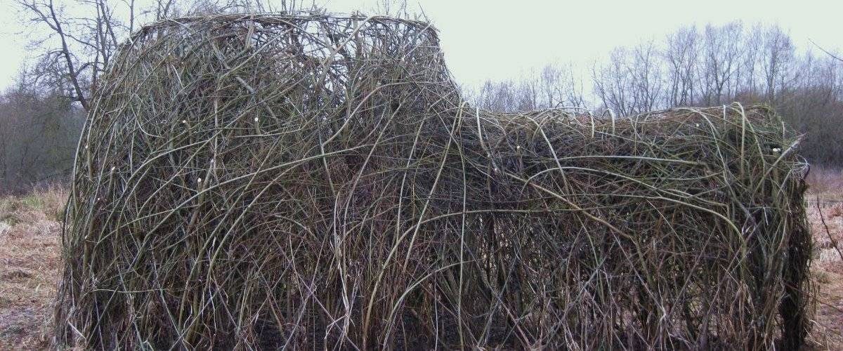 Withey Beds Local Nature Reserve