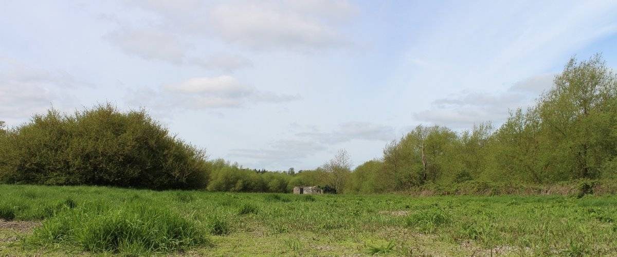 Withey Beds Local Nature Reserve