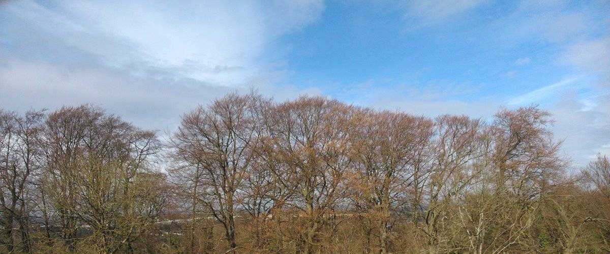 Weston Hills Local Nature Reserve