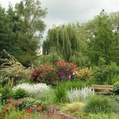 Canal Fields