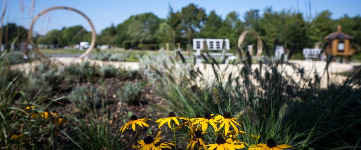 View of memorials at Oakhill