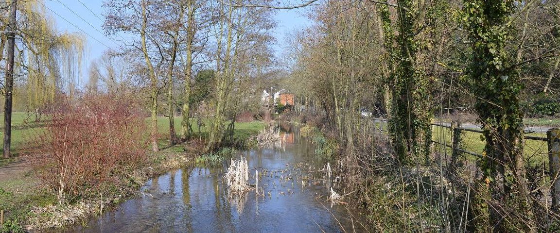 River Mimram at Singlers Marsh